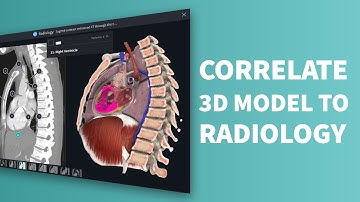Complete Anatomy: Radiology Images