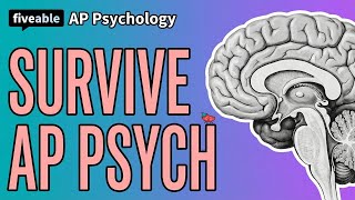 AP Psychology - Study Tips & Strategies