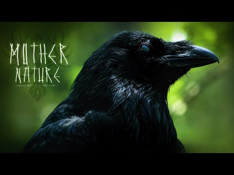 Móðir Náttúra ༒ Nordic Fantasy Music (No-AI)