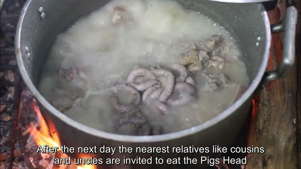 Bungsos, smells bad but tastes good! YouTube