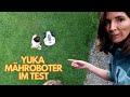 Lohnt Sich Der Mammotion YUKA 2000 Rasenmähen Mit Mähroboter Im Test Lohnt Sich Der Mammotion YUKA 2000 Rasenmähen Mit Mähroboter Im Test