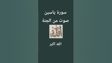 سورة ياسين ♥️🤲🤲♥️
