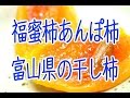 福蜜柿あんぽ柿。お歳暮干し柿に！富山県南砺市福光町の三社柿。半熟状態の遠赤外線乾燥。Japanese Fukumitukaki Dried persimmon