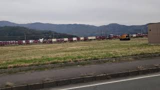 北陸本線　EF510　貨物列車