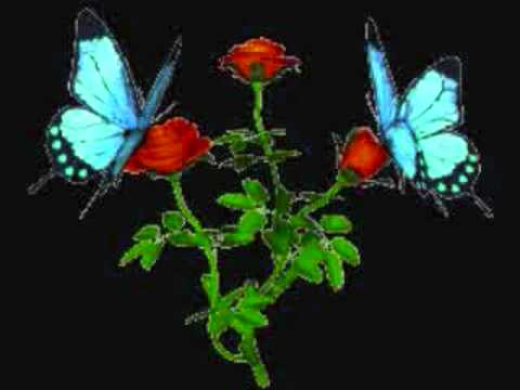 Mustafa X Hussein S Shirini Sabra Dila  Mustafa X Hussein S Shirini Sabra Dila