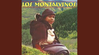 Video thumbnail of "Los Montalvinos - Ya te van a dar"