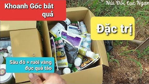Khoanh Gốc Cây Táo Bắt Hoa Vật Tư Ngành Táo 2023 l Núi Đồi Lục Ngạn