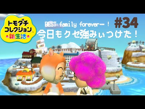 今日もクセ強みぃつけた！🔍トモダチコレクション新生活#34【3DS