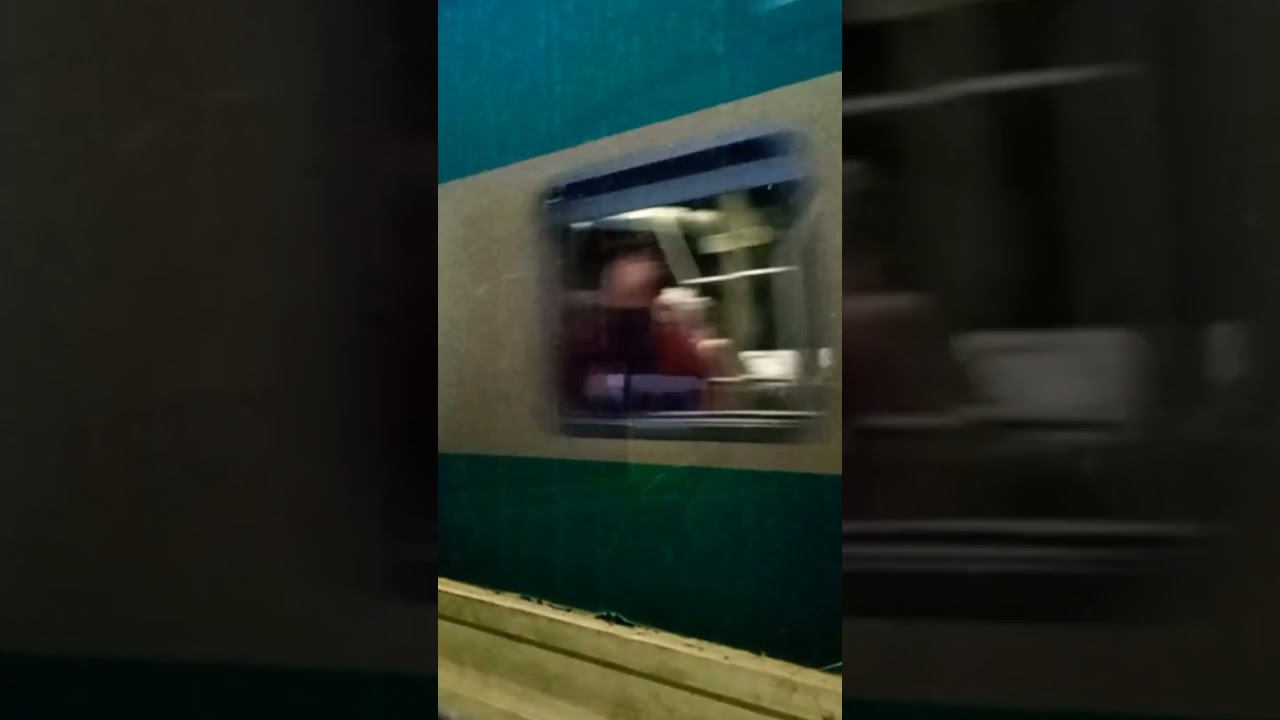 Mari Indus Passenger Train crossing Thal Express 