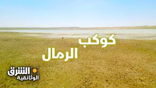 كوكب الرمال: حروب الصين ضد الصحراء  الشرق الوثائقية