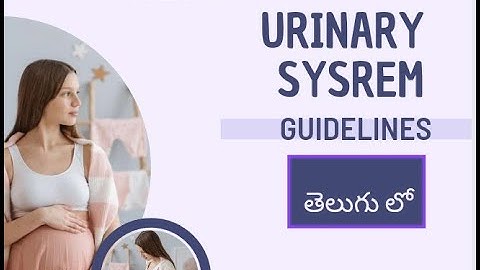 Urinary system cpt codes guidelines for cpc exam #telugu #questions #medicalcodingclasses #answers