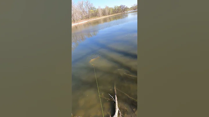 “When one with honeyed words but evil mind persuades the mob, great woes befall the state.”Euripides