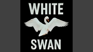 White Swan