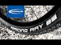 Schwalbe Racing RAY and Racing Ralph XC Tire Combo - Race Tires