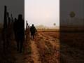 Duty &amp; beautiful Scenery #army #ytshorts #shorts #trendingshorts #trending #tranding #trendingvideo