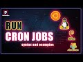 Schedule Cron Job in Linux, Ubuntu, Fedora, Debian, AlmaLinux | Run Cron Job | Cron Job tutorial