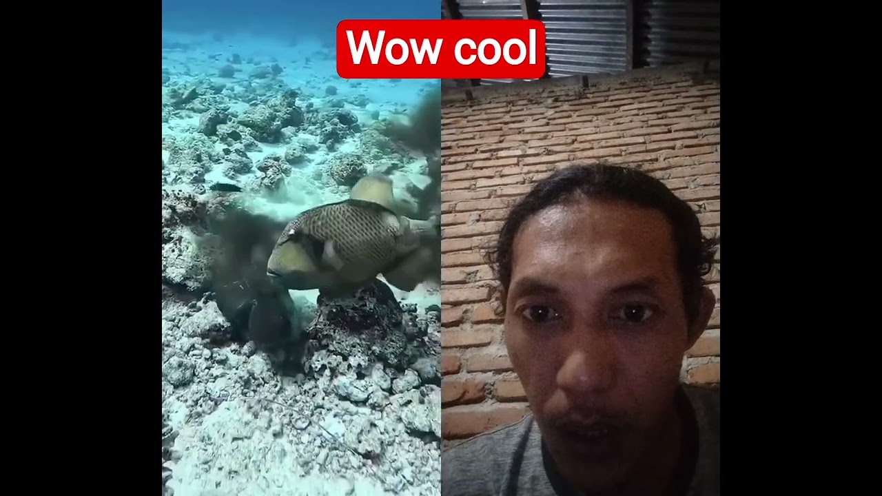 predatory fish 