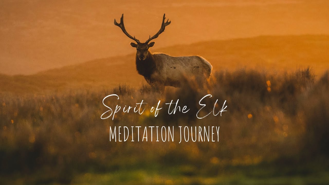 Spirit of the Elk Guided Meditation | Courage + Confidence