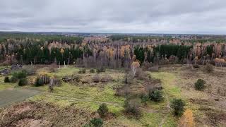 видео: осень картинка: осень