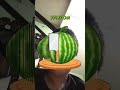 Watermelon (it’s so laggy)