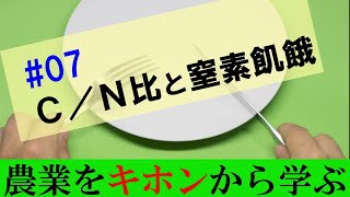 【農業のキホン07】Ｃ／Ｎ比そして窒素飢餓。有機肥料マスターになるための第一歩です