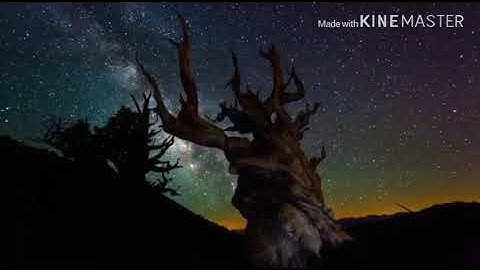 حالات واتساب - كتاب أنزلناه إليك مبارك ليدبروا آياته وليتذكر أولوا الألباب ..