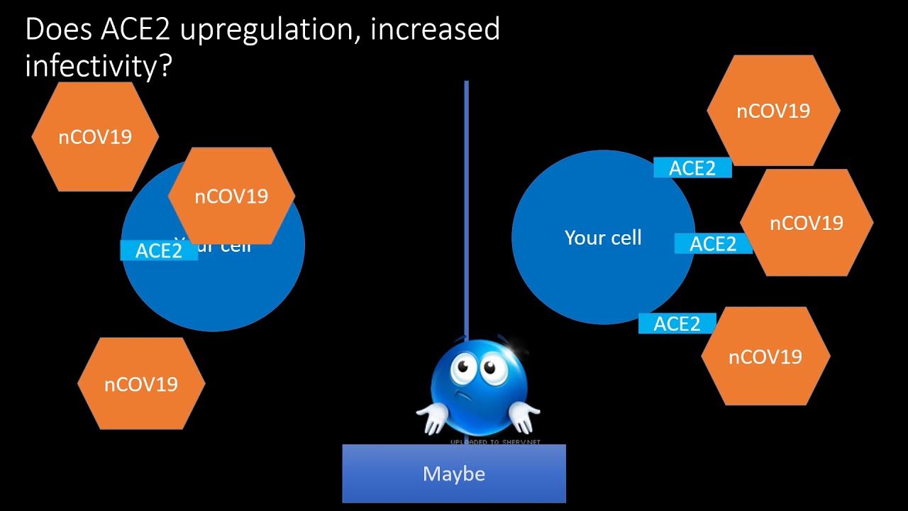 The Truth about Ibuprofen and Coronavirus. Explained YouTube