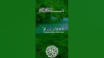 #تلاوة_خاشعة بصوت جميل جدا #قران_كريم #قرآن #ماهر_المعيقلي #korean #اكسبلور #لايك #duet #ترند