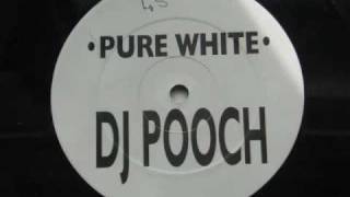 pure white d j pooch