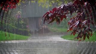 Jason Isbell - How To Forget  :)