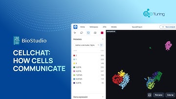 CellChat: Explore how cells communicate