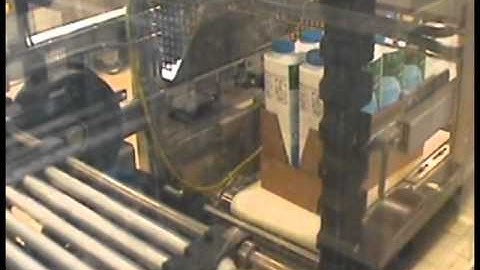 Nerak S169 Continuous Vertical Conveyor