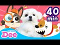 Be careful with Puppies 🐕 | Safety Songs Compilation | 40min | Animal Songs | Dragon Dee Kids Songs