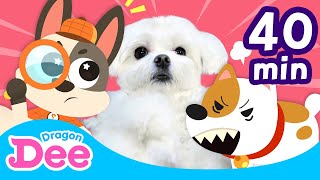 Be Careful With Puppies Safety Songs Compilation 40Min Animal Songs Dragon Dee Kids Songs