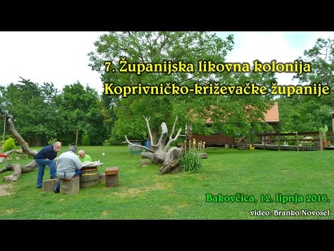 7.  Županijska likovna kolonija - Bakovčica 2016. HD