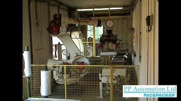 Compact Pacepacker Robot Palletising System in Shipping Container