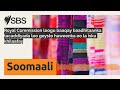 Royal Commission loogu baaqay baadhitaanka tacaddiyada loo geysto haweenka oo la isku khilaafay...