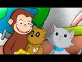 Anime-se, Gatinho! 🐵 George, o Curioso 🐵 Desenhos Animados