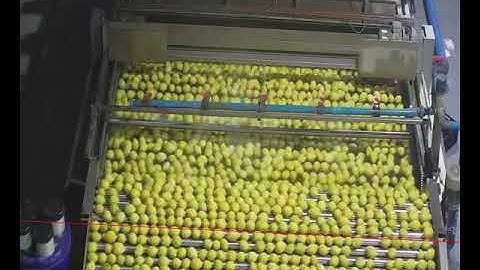 Camera-based Product Counting on the Conveyor Line: Counting Oranges with Computer Vision
