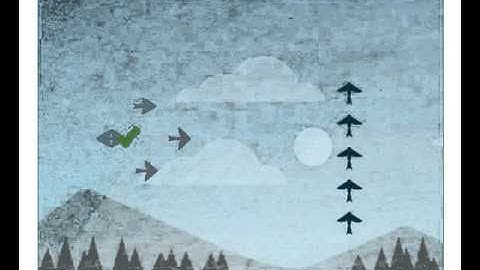 Lost in Migration (Lumosity)