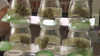 Montana lawmakers propose limiting new marijuana licenses