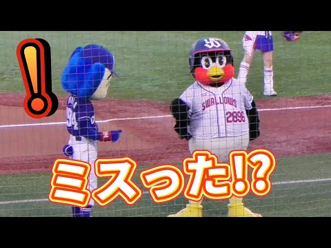 2022/9/3 つば九郎、いつものダンスをミスるがドアラのせいにする
