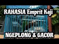 CARA AGAR EMPRIT KAJI GACOR & NGEPLONG | EMPRIT KAJI GACOR ISIAN