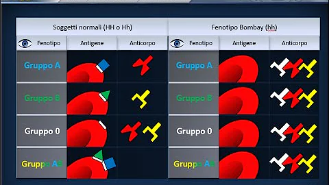 Qual è il gruppo sanguigno più diffuso?