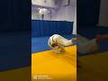 ПУШЕЧНАЯ КОМБИНАЦИЯ KATA OTOSHI 🔥👊🏻 #judo #дзюдо #judotraining #judothrow #shorts