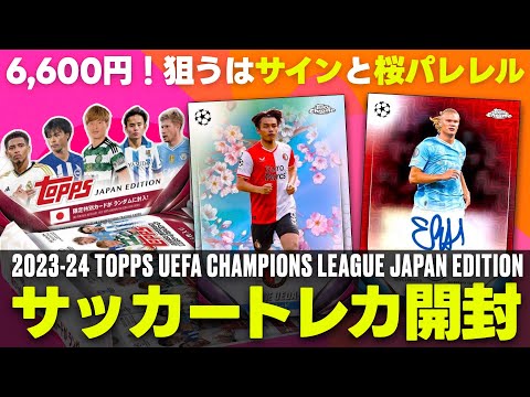 Championship2023 ドンカード　4枚　非売品 ミントモール on X: 