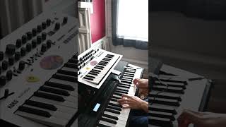 rosanna prechorus lick