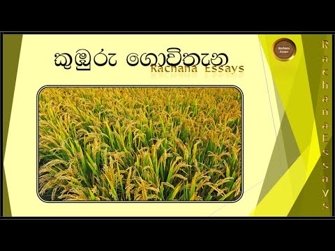 agriculture essay in sinhala