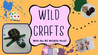 Make A Pet Rock Turtle! Wild Crafts with the Wildlife Park