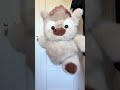 No es un simple peluche…😍 #adorable #peluche #regalos #novia #kawaii #vaca
